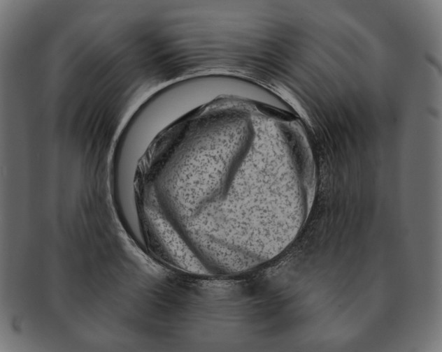 X0000091531132200709071034