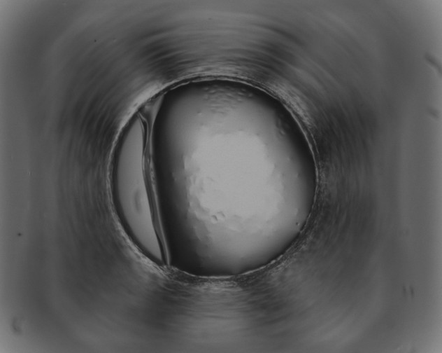 X0000091531133200709071034