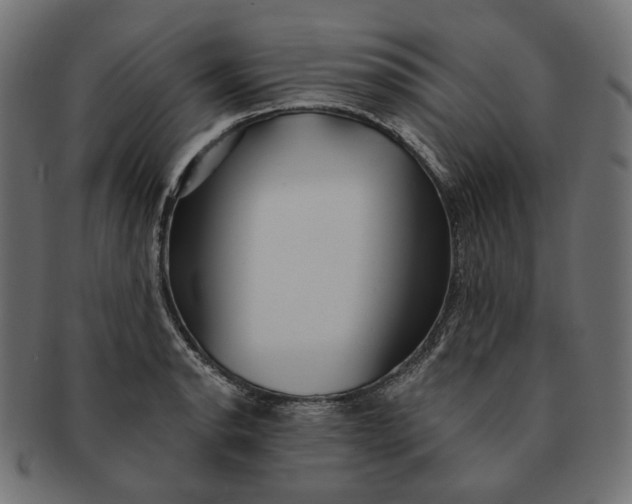 X0000091531134200709071034