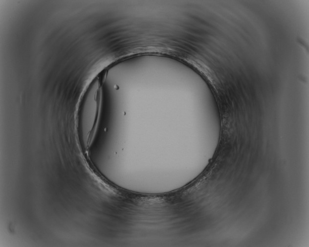 X0000091531135200709071034