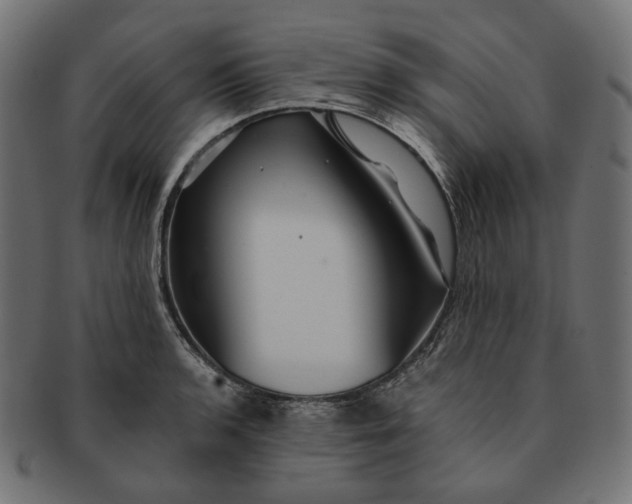 X0000091531136200709071034