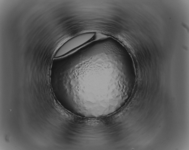 X0000091531137200709071034