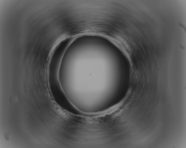 X0000091531138200709071034
