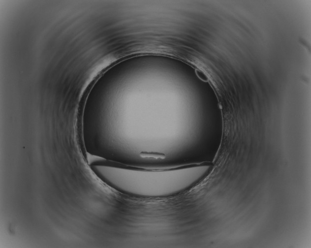X0000091531139200709071034