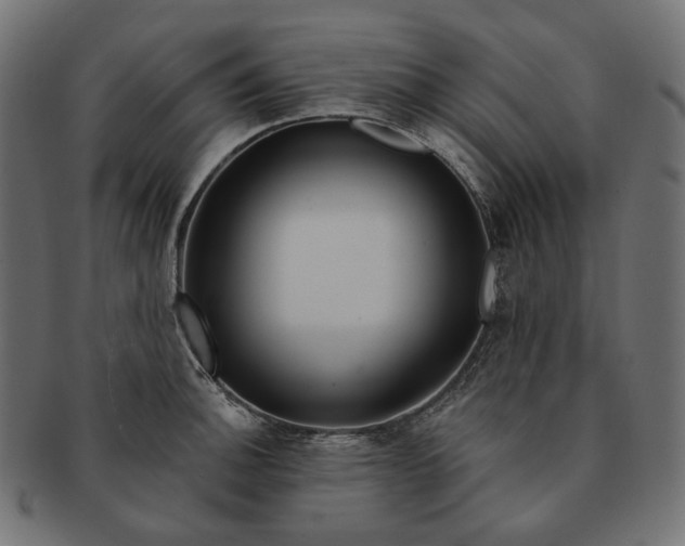 X0000091531140200709071034