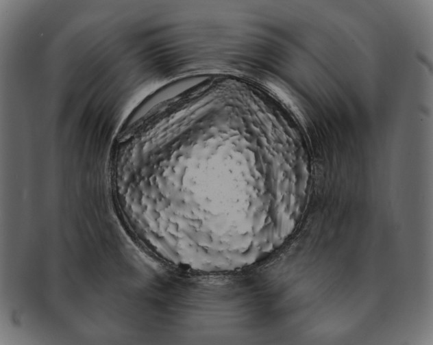 X0000091531141200709071034