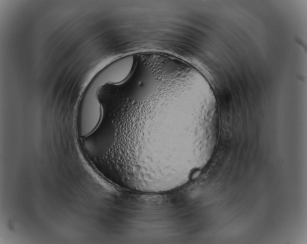 X0000091531142200709071034