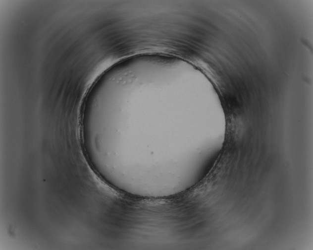 X0000091531143200709071034