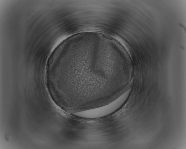 X0000091531147200709071034