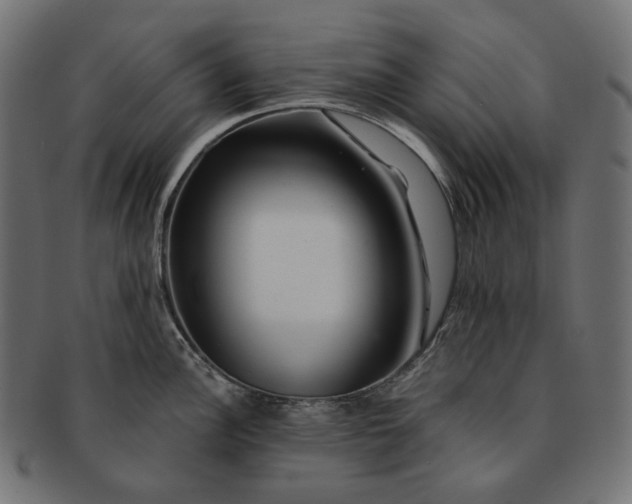 X0000091531148200709071034