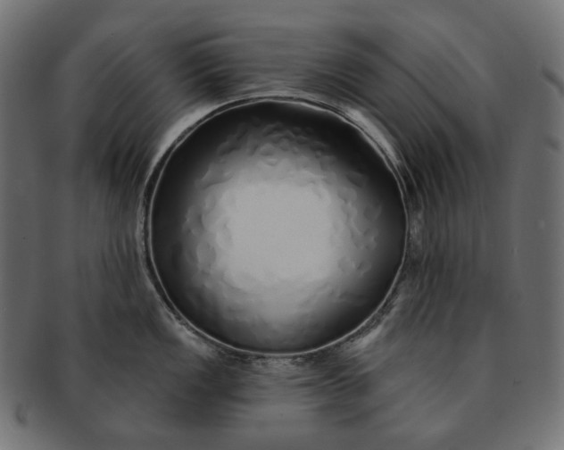 X0000091531149200709071034