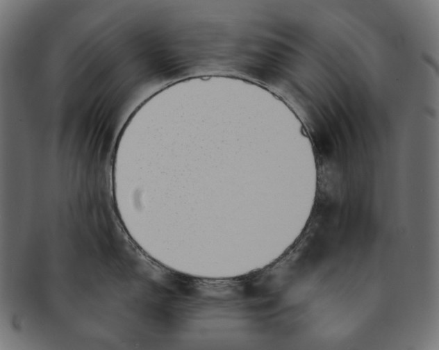 X0000091531150200709071034