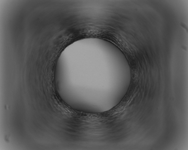 X0000091531153200709071034