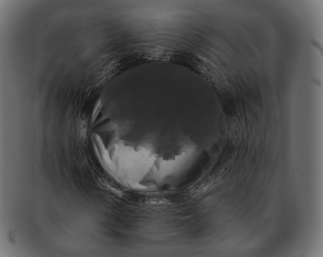 X0000091531154200709071034