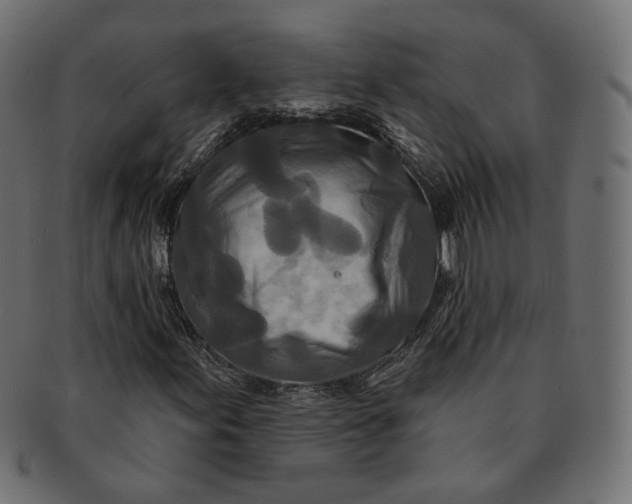 X0000091531155200709071034
