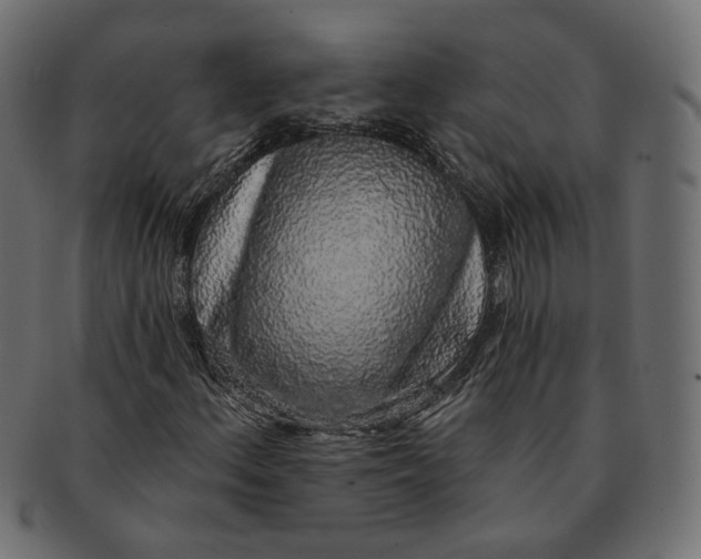 X0000091531156200709071034