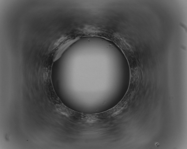 X0000091531157200709071034