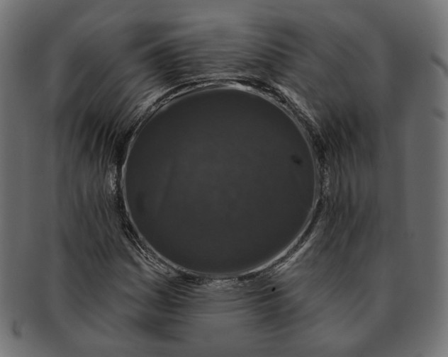 X0000091531161200709071034