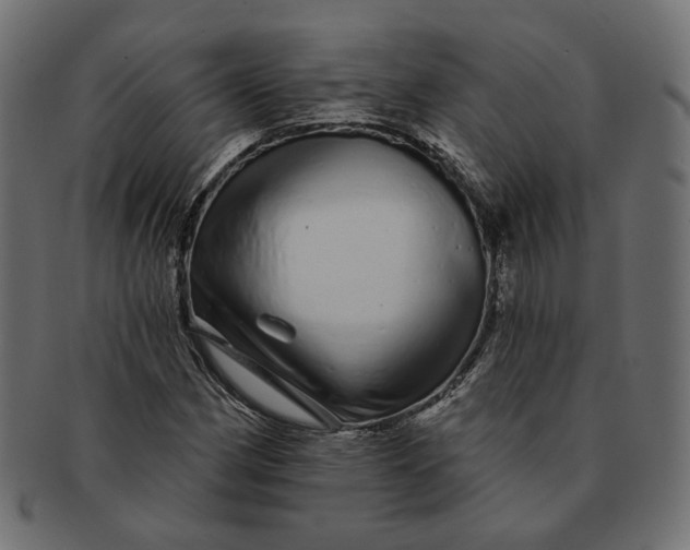 X0000091531162200709071034