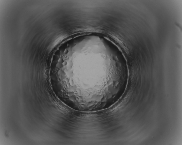 X0000091531163200709071034