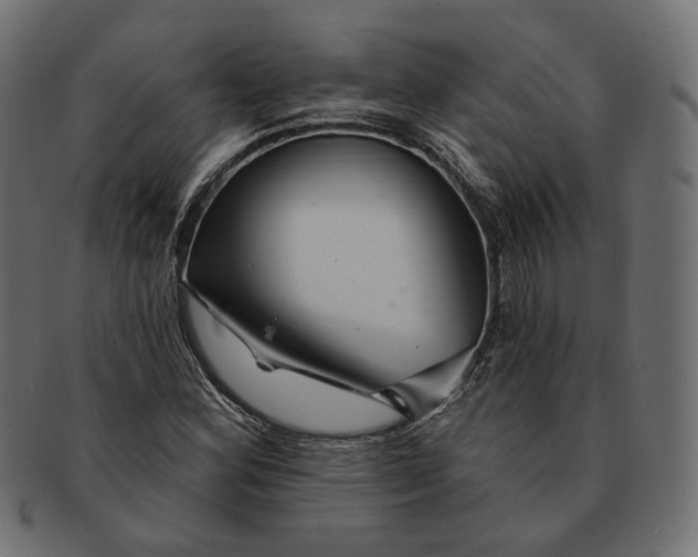 X0000091531164200709071034