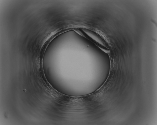 X0000091531165200709071034