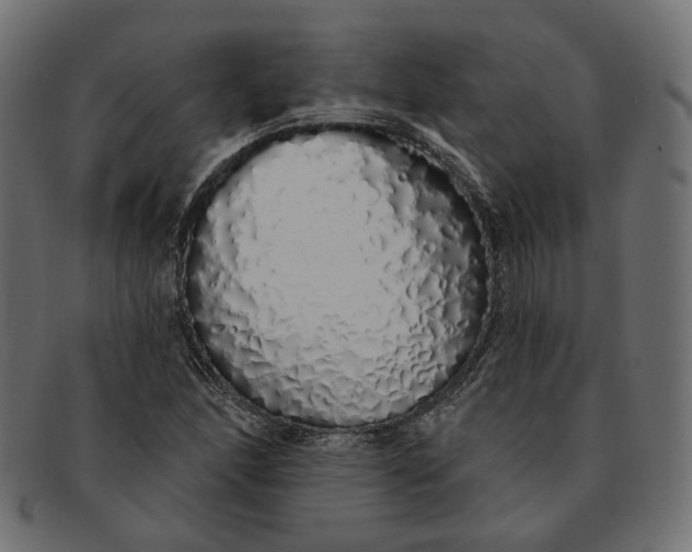 X0000091531166200709071034
