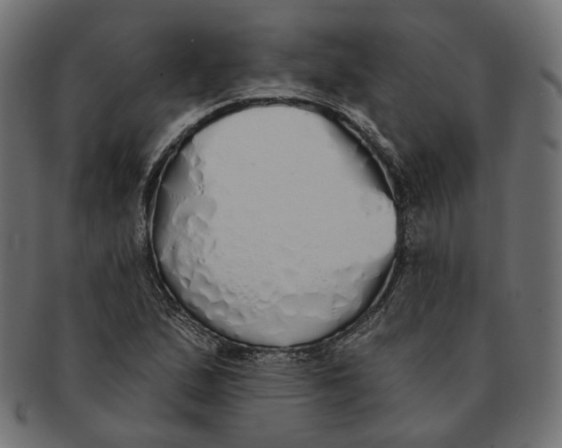 X0000091531167200709071034