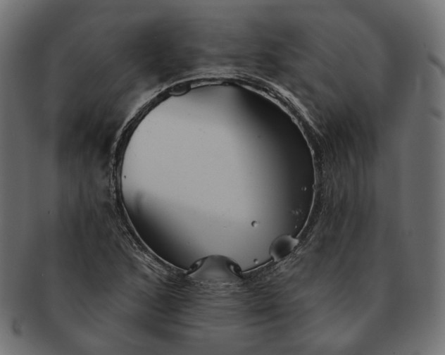 X0000091531168200709071034