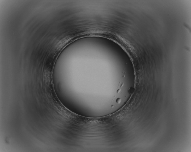 X0000091531169200709071034