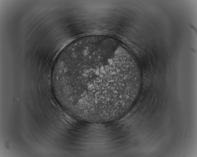 X0000091531170200709071034
