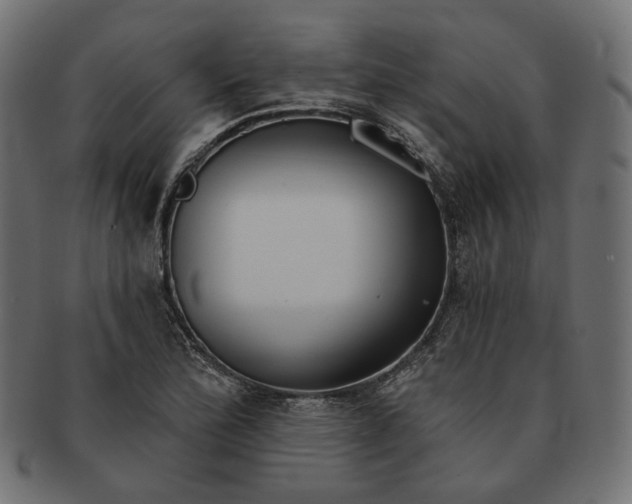 X0000091531172200709071033