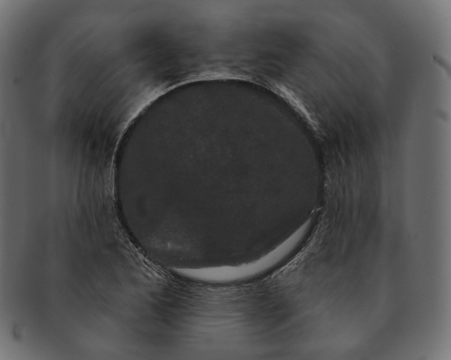 X0000091531173200709071033