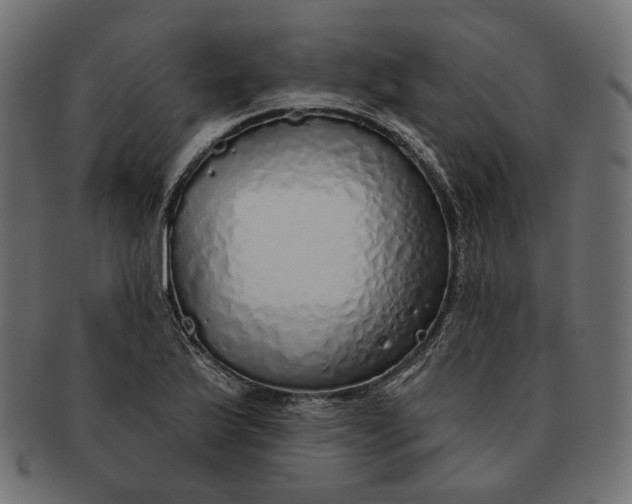 X0000091531175200709071033