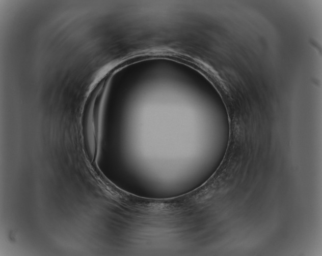 X0000091531176200709071033