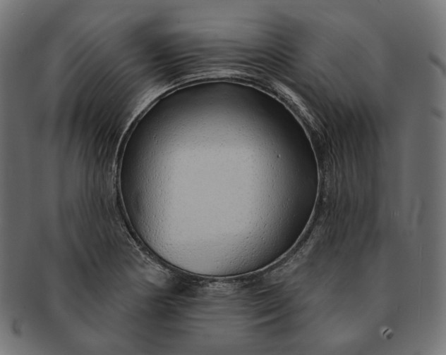 X0000091531178200709071033