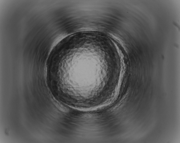 X0000091531179200709071033