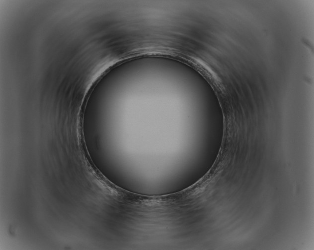 X0000091531182200709071033