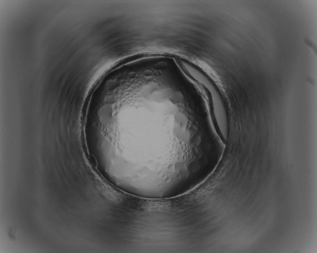 X0000091531183200709071033