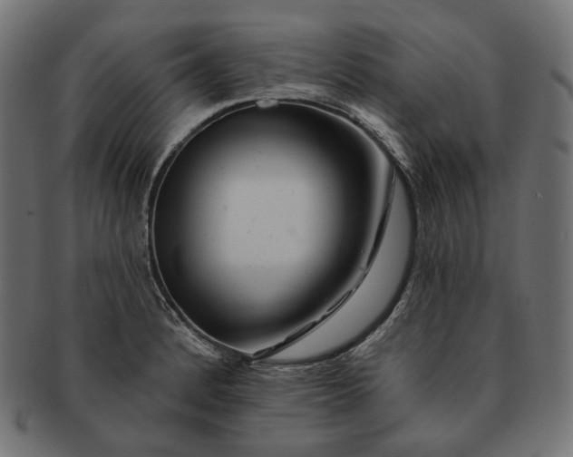 X0000091531184200709071033