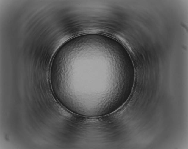 X0000091531186200709071033