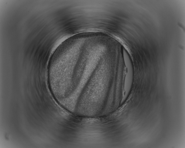 X0000091531187200709071033