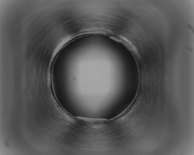 X0000091531188200709071033