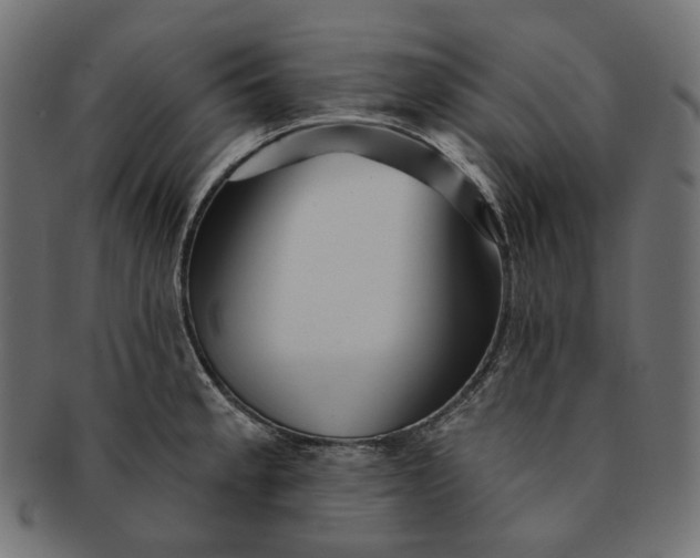 X0000091531189200709071033