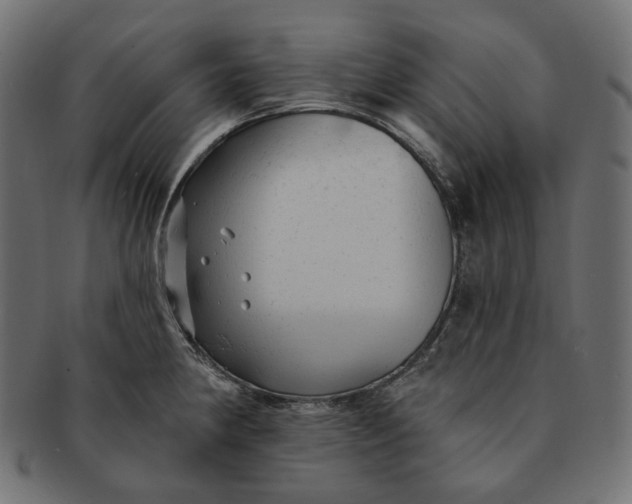 X0000091531190200709071033