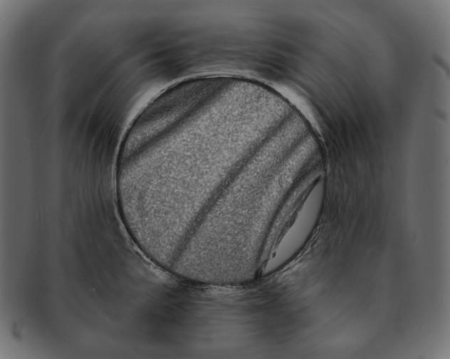 X0000091531191200709071033