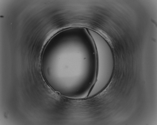 X0000091531192200709071033