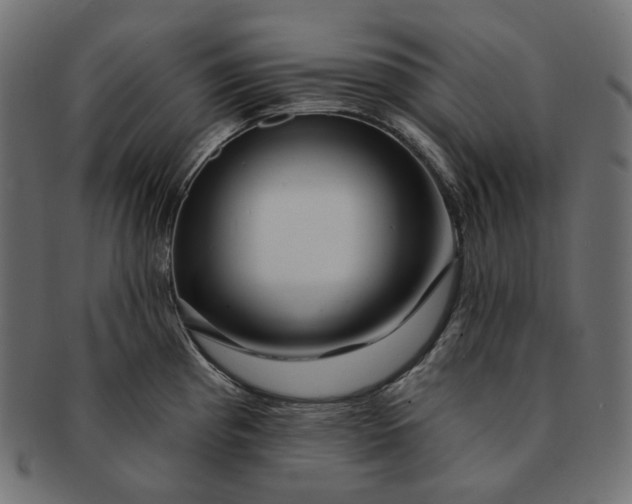 X0000091531193200709071033