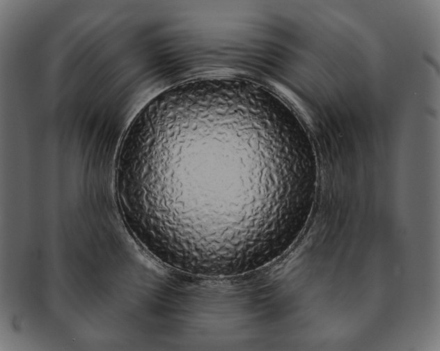 X0000091531194200709071033