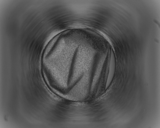X0000091531195200709071033